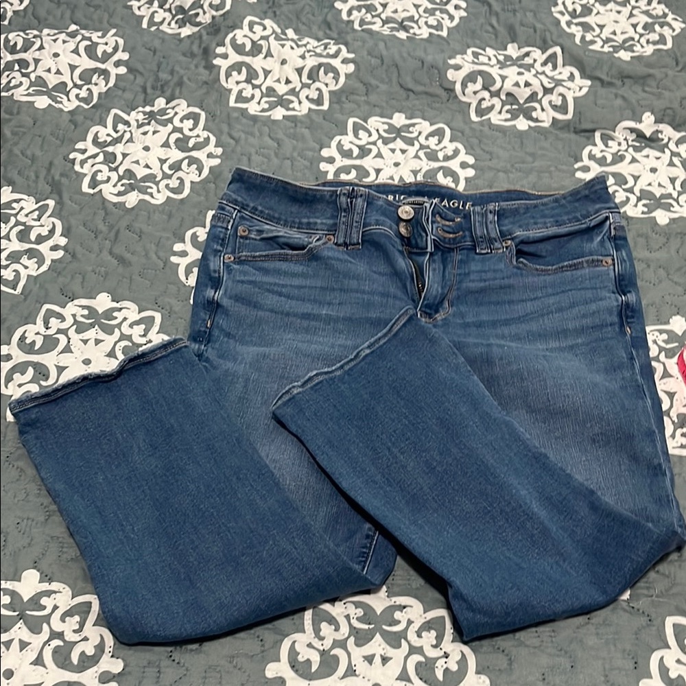 American Eagle Outfitters Blue Skinny Jeans